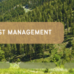 A Guide to La Paz Waterfall Gardens