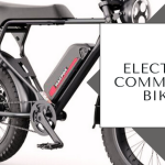 The Significance of Land Clearing and Brush Removal in Raymondville