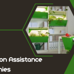 Mastering the Art of Engagement Through Enigma’s Social Media Strategies