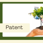 Cost Savings Orlando Businesses Can Expect When Switching to Managed IT Services